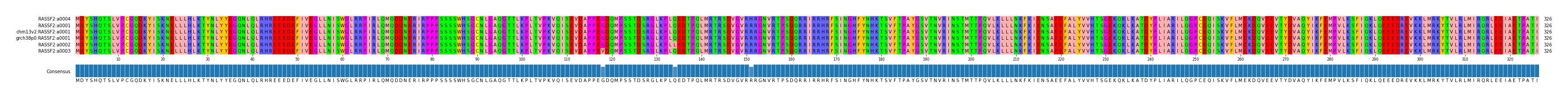 Multiple Alignments (by translate haplotype similarity)