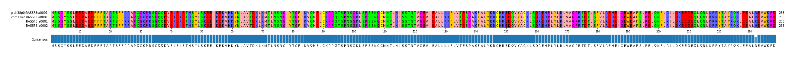 Multiple Alignments (by translate haplotype similarity)