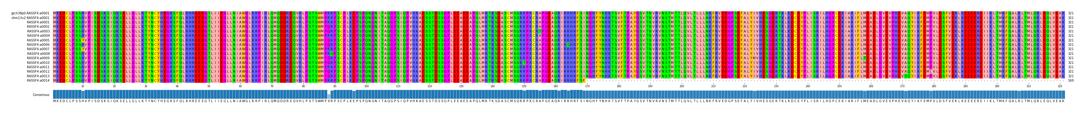 Multiple Alignments (by translate haplotype frequency)