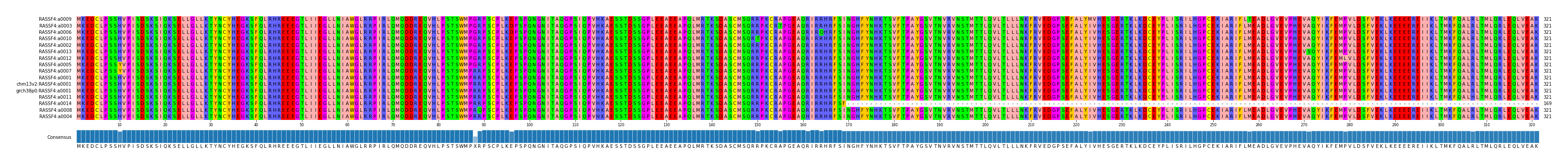 Multiple Alignments (by translate haplotype similarity)