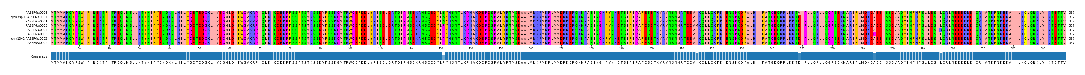 Multiple Alignments (by translate haplotype similarity)