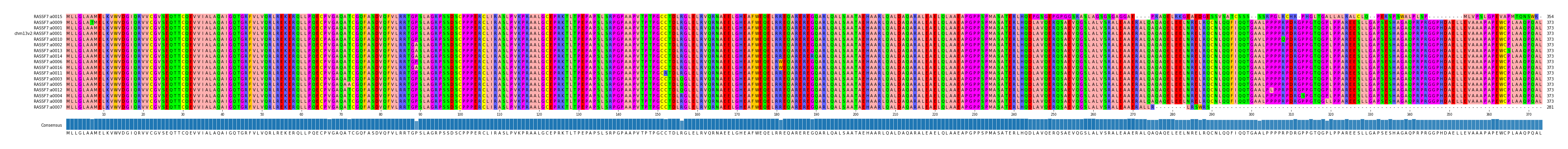 Multiple Alignments (by translate haplotype similarity)