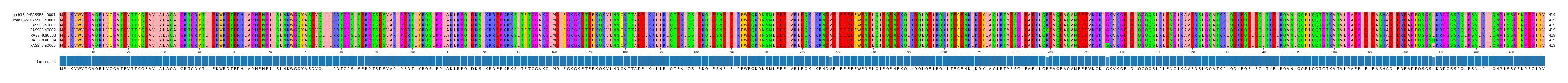 Multiple Alignments (by translate haplotype frequency)