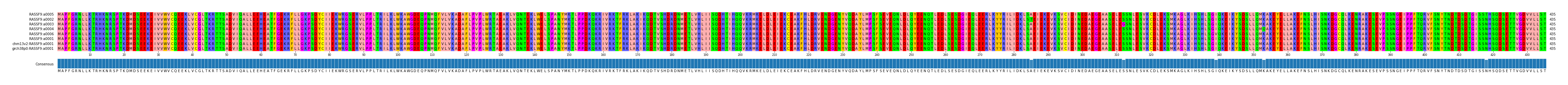 Multiple Alignments (by translate haplotype similarity)