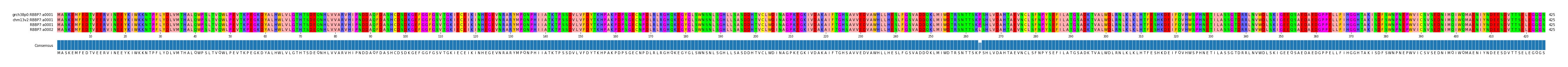Multiple Alignments (by translate haplotype similarity)