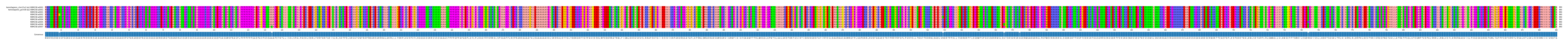 Multiple Alignments (by translate haplotype frequency)