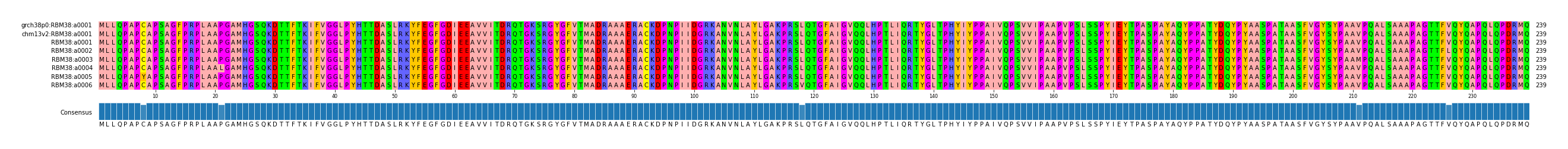 Multiple Alignments (by translate haplotype frequency)