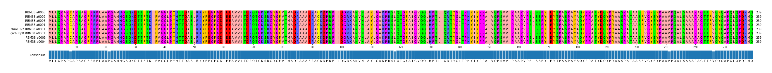 Multiple Alignments (by translate haplotype similarity)