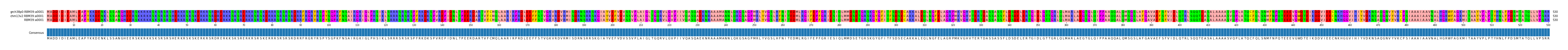 Multiple Alignments (by translate haplotype similarity)