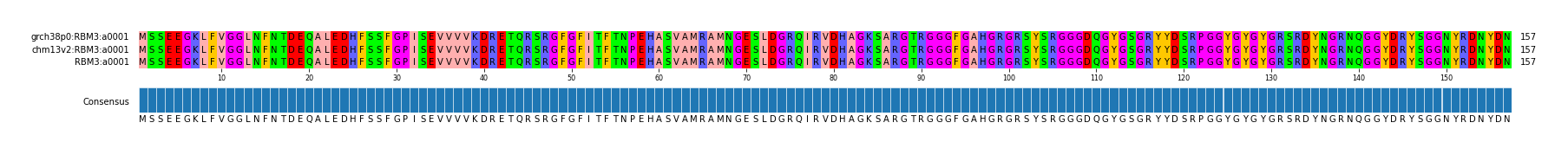Multiple Alignments (by translate haplotype similarity)