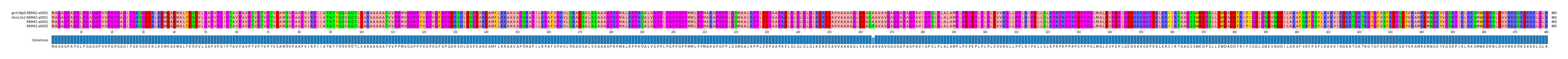 Multiple Alignments (by translate haplotype frequency)