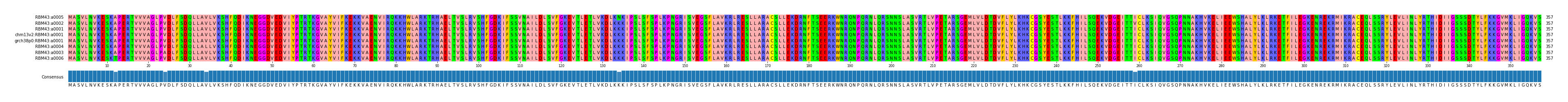 Multiple Alignments (by translate haplotype similarity)