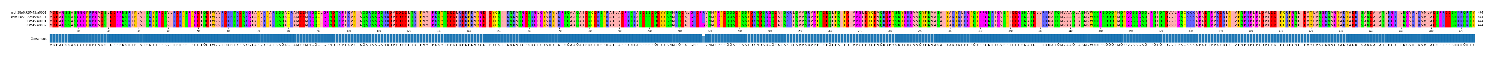 Multiple Alignments (by translate haplotype similarity)
