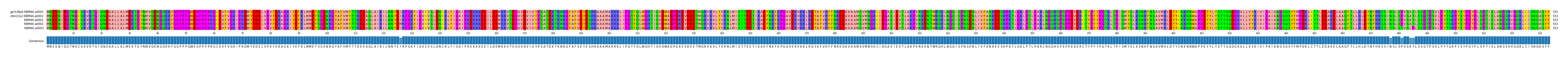 Multiple Alignments (by translate haplotype frequency)
