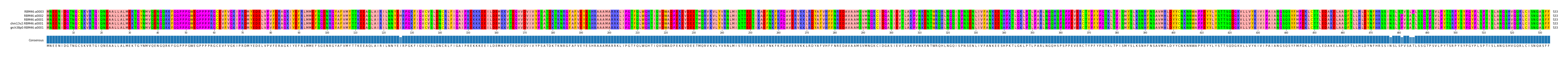 Multiple Alignments (by translate haplotype similarity)