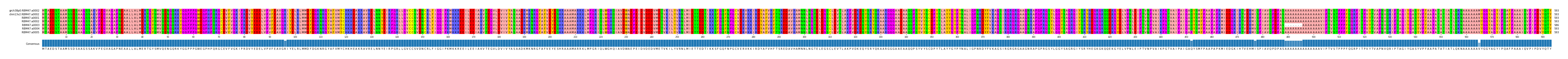 Multiple Alignments (by translate haplotype frequency)