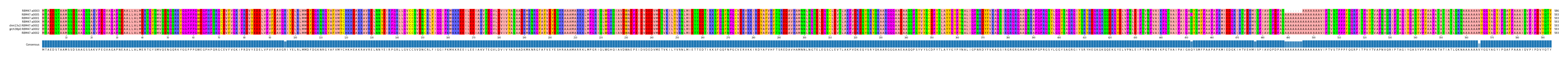 Multiple Alignments (by translate haplotype similarity)