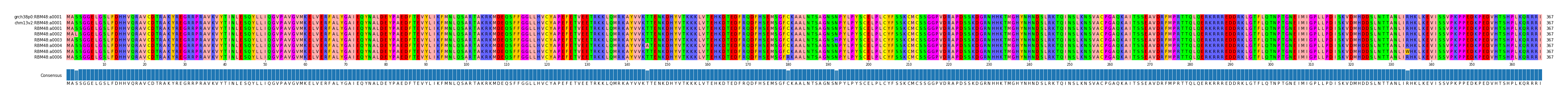 Multiple Alignments (by translate haplotype frequency)