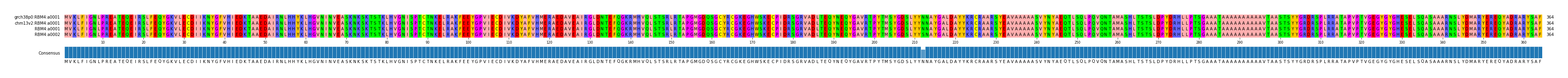 Multiple Alignments (by translate haplotype similarity)