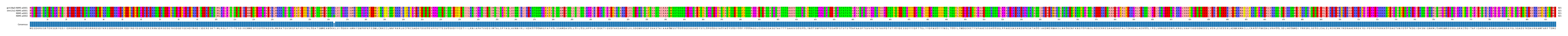 Multiple Alignments (by translate haplotype similarity)