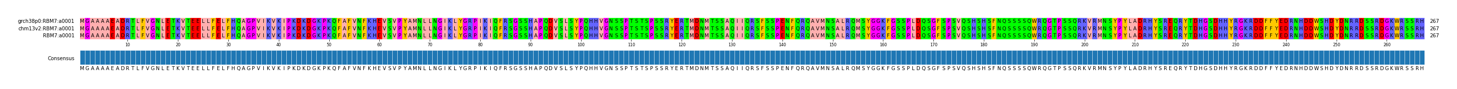 Multiple Alignments (by translate haplotype frequency)