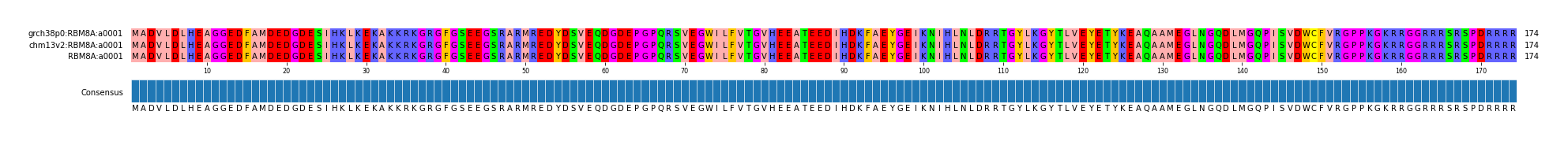 Multiple Alignments (by translate haplotype similarity)