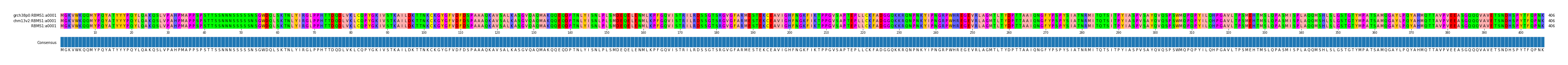 Multiple Alignments (by translate haplotype similarity)