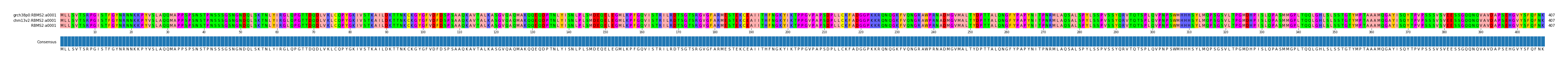 Multiple Alignments (by translate haplotype similarity)