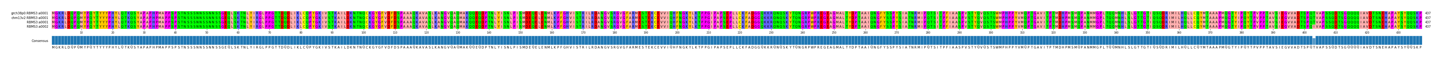 Multiple Alignments (by translate haplotype similarity)