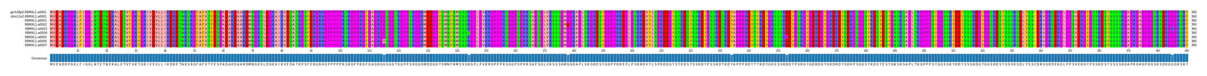 Multiple Alignments (by translate haplotype frequency)