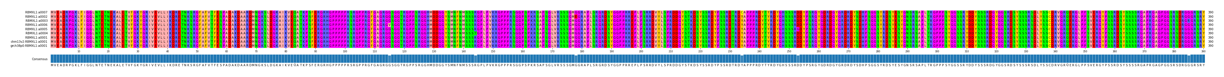 Multiple Alignments (by translate haplotype similarity)