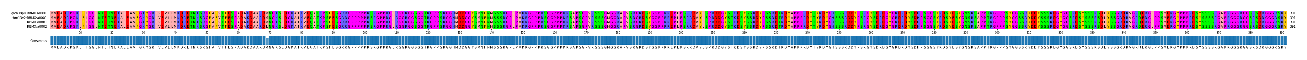 Multiple Alignments (by translate haplotype similarity)