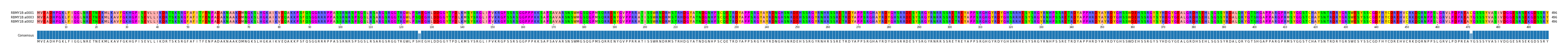 Multiple Alignments (by translate haplotype similarity)