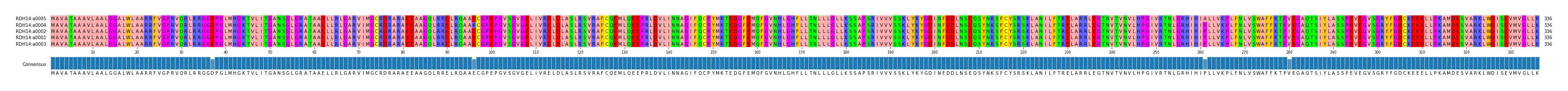 Multiple Alignments (by translate haplotype similarity)