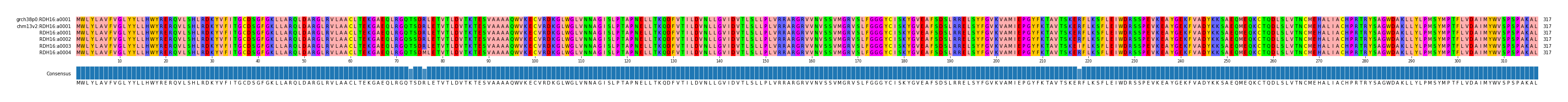 Multiple Alignments (by translate haplotype frequency)