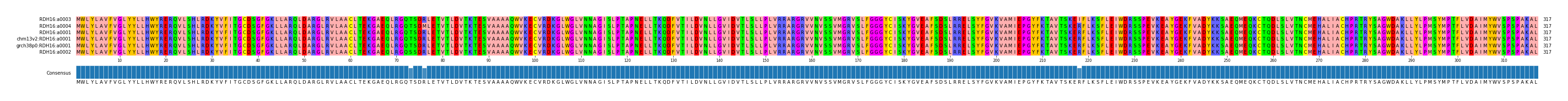 Multiple Alignments (by translate haplotype similarity)
