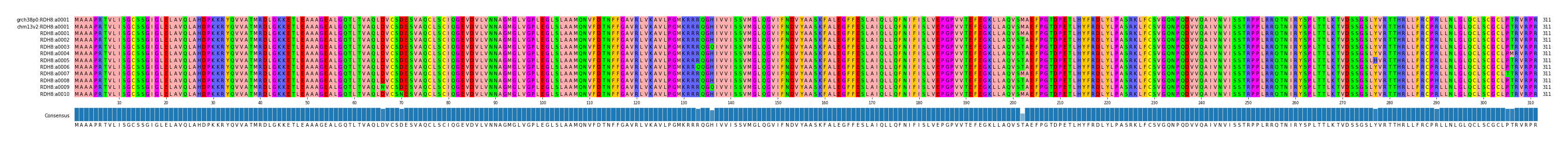 Multiple Alignments (by translate haplotype frequency)