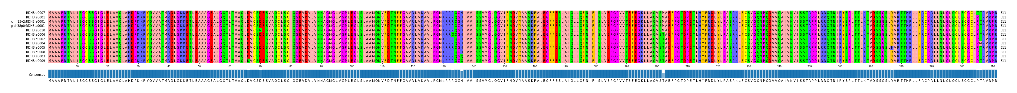 Multiple Alignments (by translate haplotype similarity)