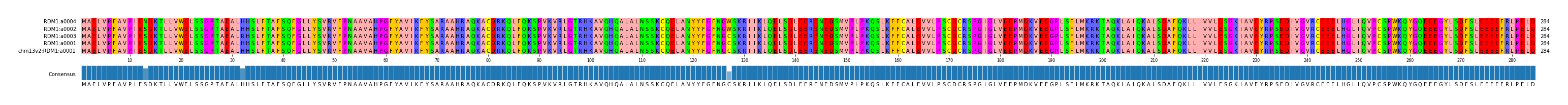 Multiple Alignments (by translate haplotype similarity)