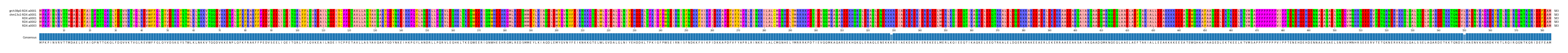 Multiple Alignments (by translate haplotype frequency)