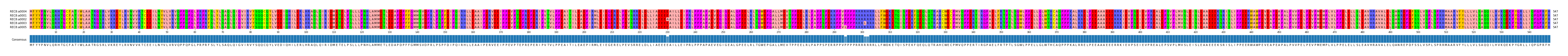 Multiple Alignments (by translate haplotype similarity)