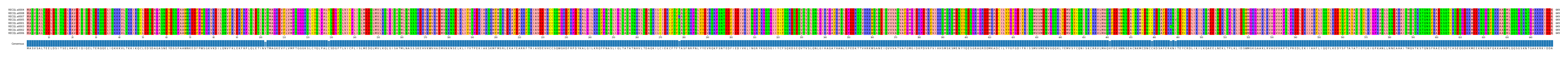 Multiple Alignments (by translate haplotype similarity)