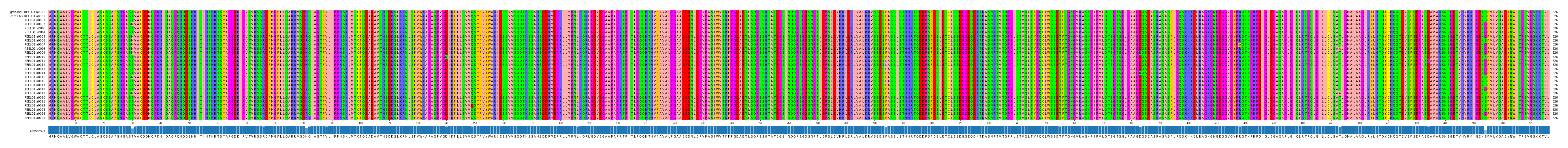 Multiple Alignments (by translate haplotype frequency)