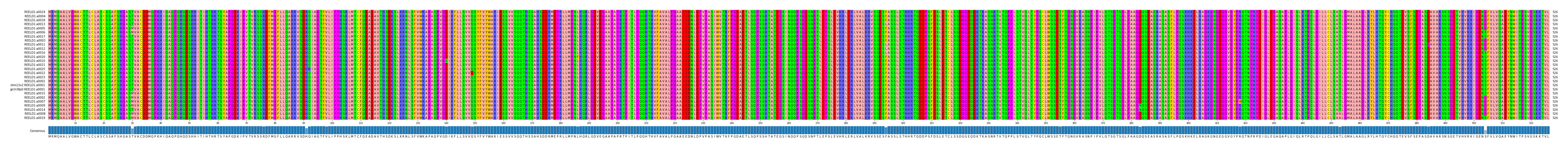 Multiple Alignments (by translate haplotype similarity)