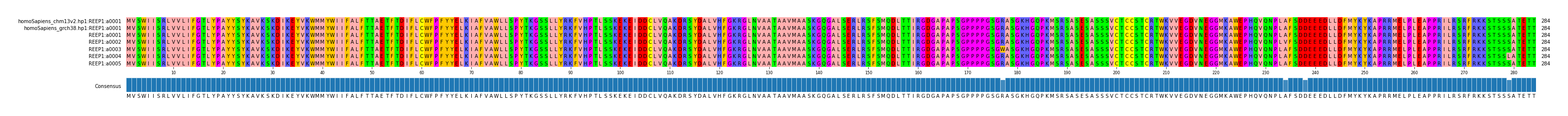 Multiple Alignments (by translate haplotype frequency)