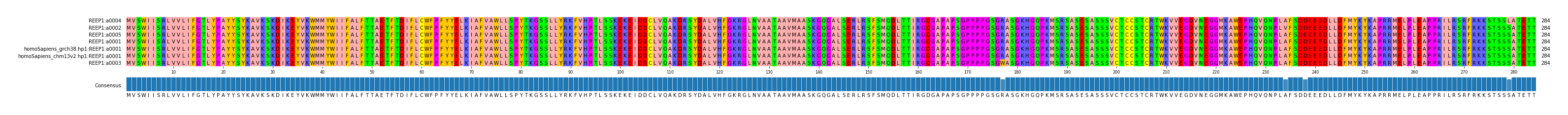 Multiple Alignments (by translate haplotype similarity)