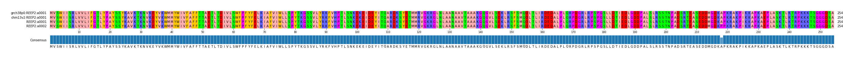 Multiple Alignments (by translate haplotype similarity)