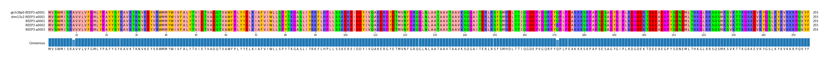 Multiple Alignments (by translate haplotype frequency)