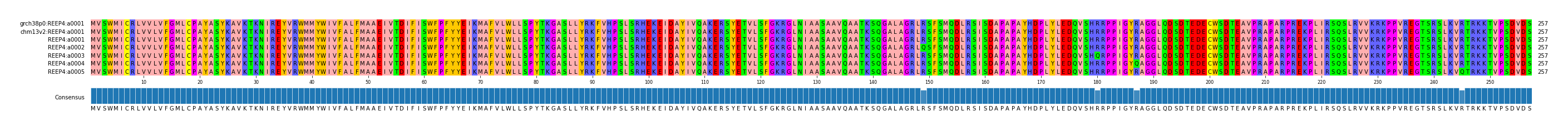 Multiple Alignments (by translate haplotype frequency)