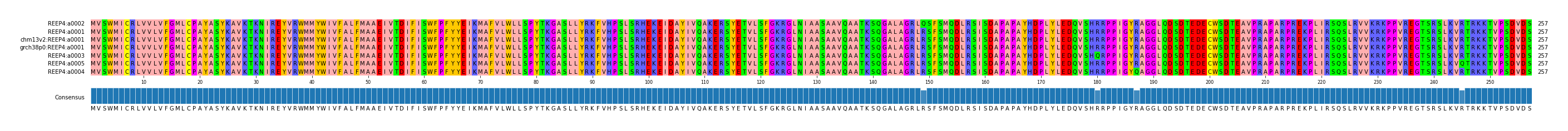 Multiple Alignments (by translate haplotype similarity)
